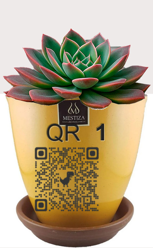 DOBO Planta1 + Zafiro