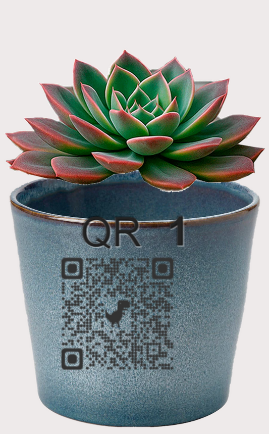 DOBO Planta1 + Maceta gres