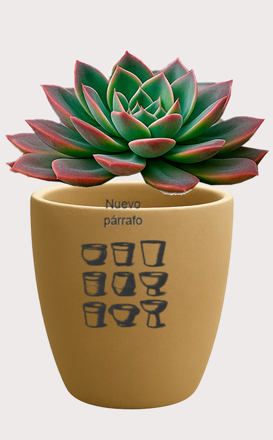 DOBO Planta1 + Maceta15