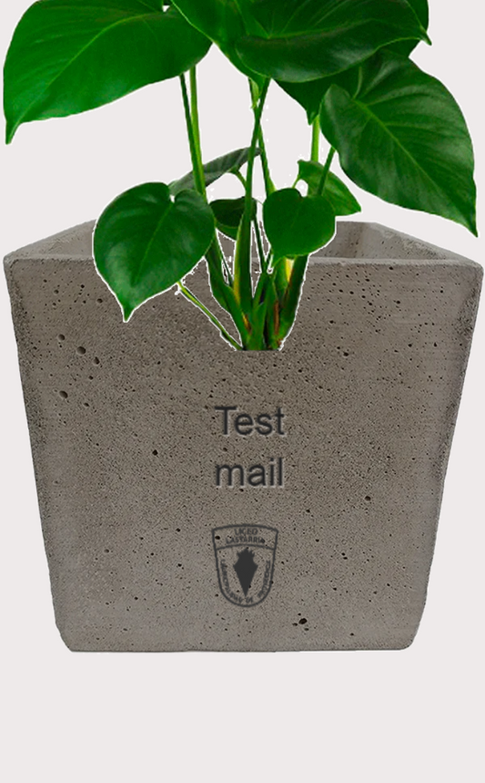 DOBO Planta5 + Maceta2