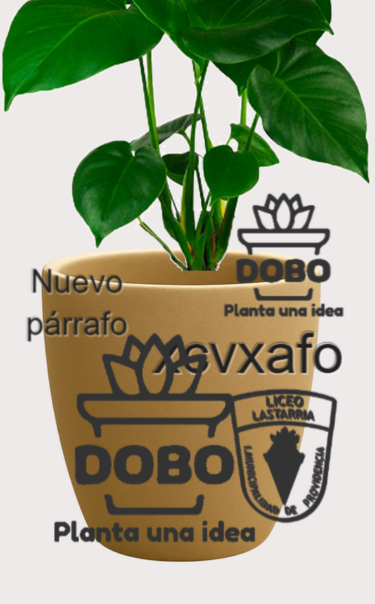 DOBO Planta5 + Maceta15