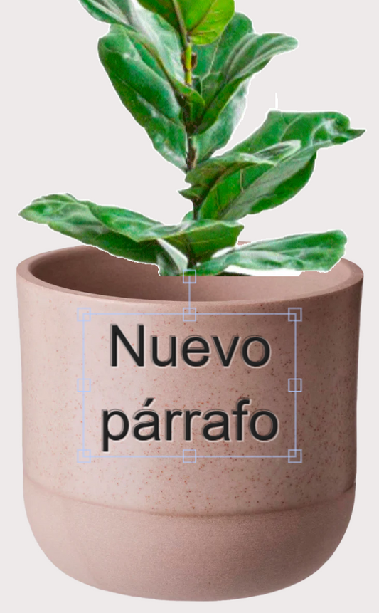 DOBO Ficus Lirata + Maceta1