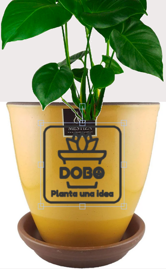 DOBO Planta5 + Zafiro