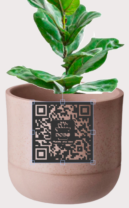 DOBO Ficus Lirata + Maceta1