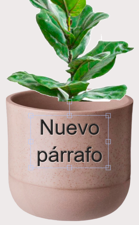 DOBO Ficus Lirata + Maceta1