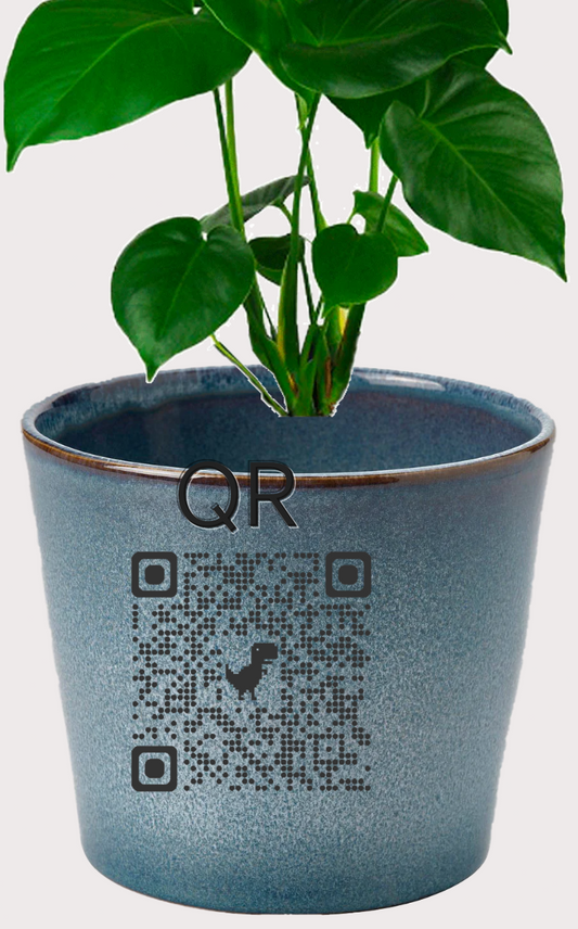 DOBO Planta5 + Maceta gres