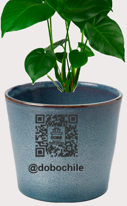 DOBO Planta5 + Maceta gres