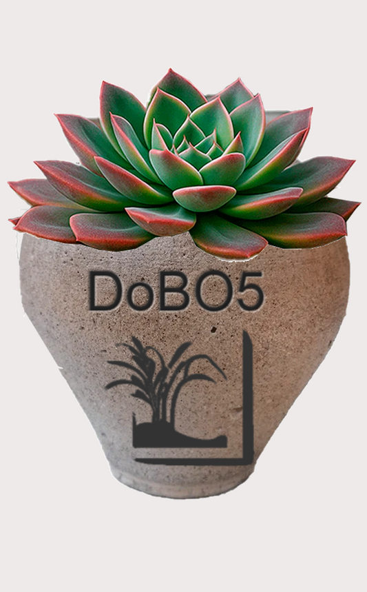DOBO Planta1 + Maceta3