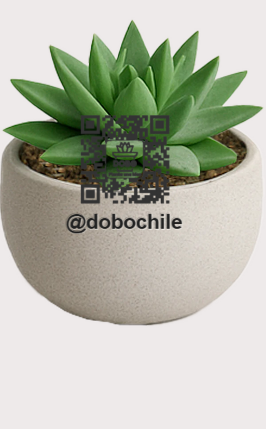 DOBO Planta7 + Maceta13