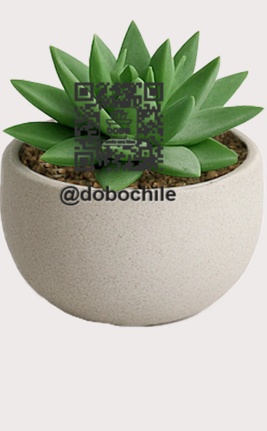 DOBO Planta7 + Maceta13