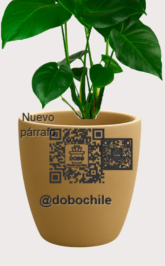 DOBO Planta5 + Maceta15