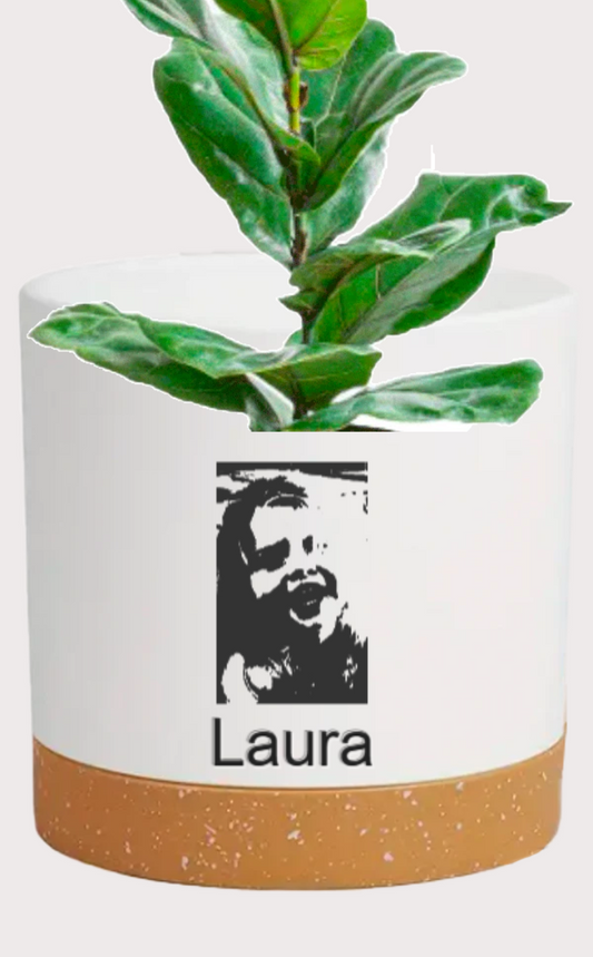 DOBO Ficus Lirata + Maceta14