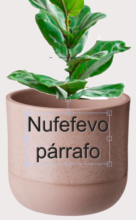 DOBO Ficus Lirata + Maceta1