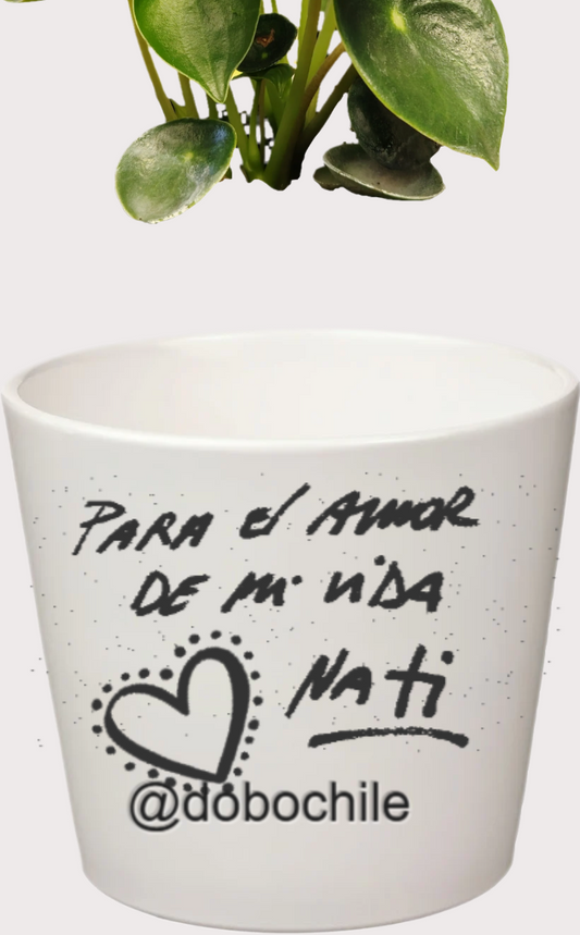 DOBO Tacitas + Maceta blanca ceramica 9x10