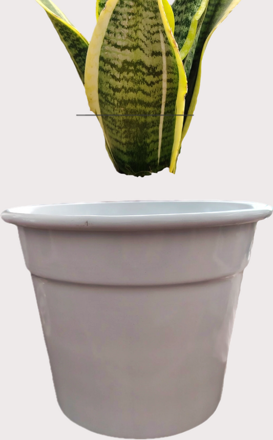 DOBO Lengua + Maceta blanca laton 15x9x14