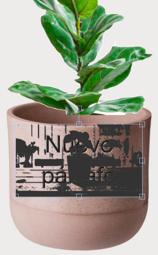 DOBO Ficus Lirata + Maceta1