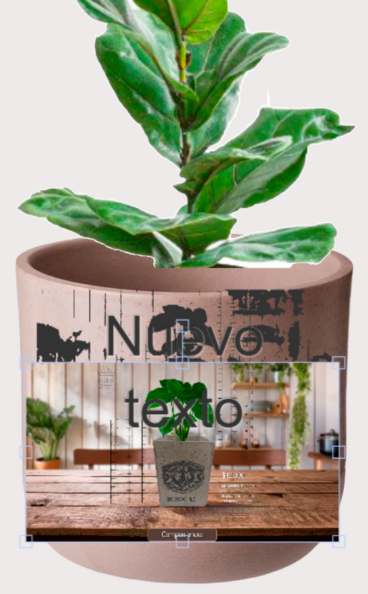 DOBO Ficus Lirata + Maceta1