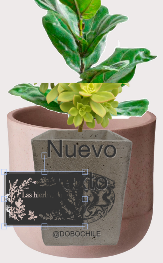 DOBO Ficus Lirata + Maceta1