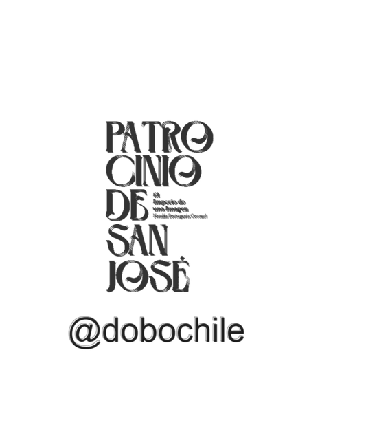 DOBO Ficus Lirata + Maceta1